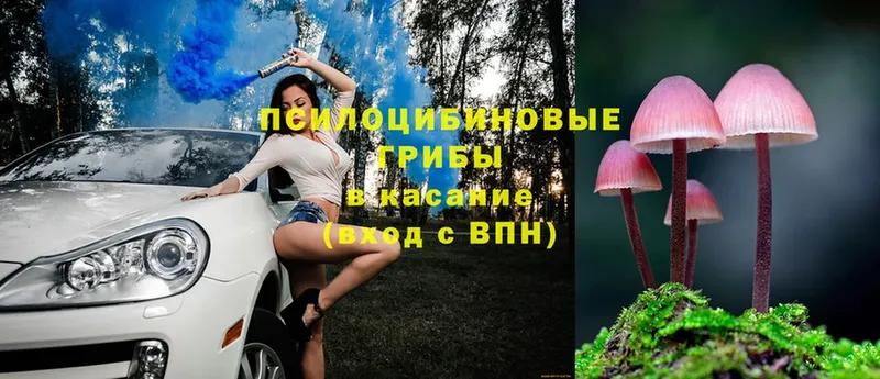 Псилоцибиновые грибы Cubensis  ссылка на мегу как войти  Кыштым 